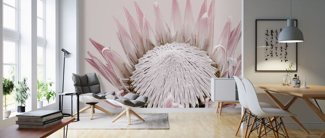 PHOTOWALL / King Protea (e322866)