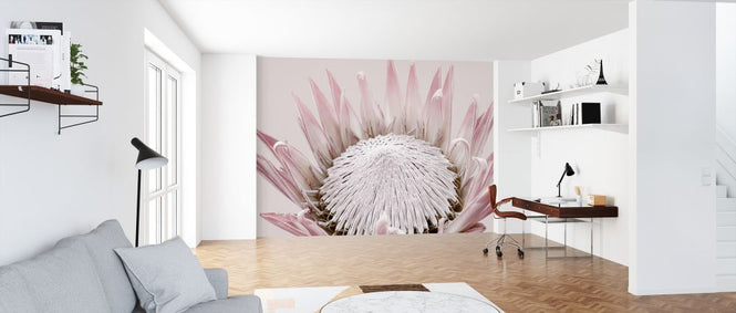PHOTOWALL / King Protea (e322866)