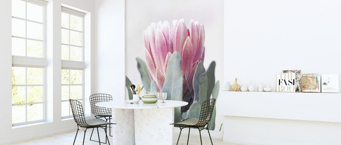 PHOTOWALL / Protea II (e322871)