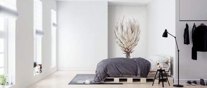 PHOTOWALL / Protea III (e322872)