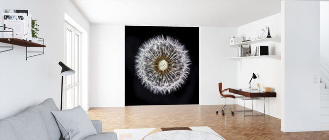 PHOTOWALL / Dandelion Clock (e321112)