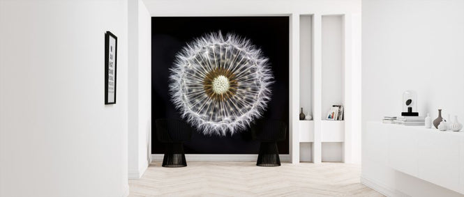 PHOTOWALL / Dandelion Clock (e321112)