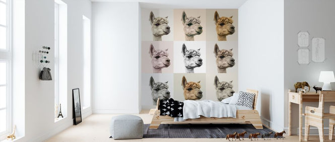 PHOTOWALL / Alpacas and Alcapas (e321123)