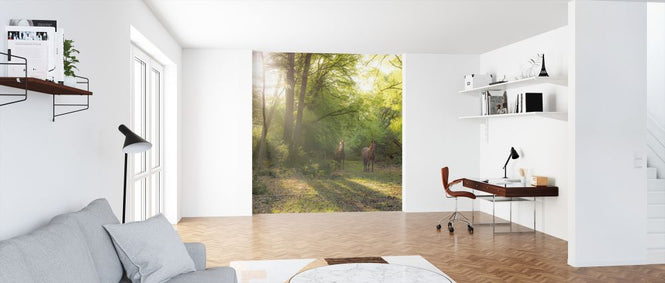 PHOTOWALL / Wild Horses (e321133)