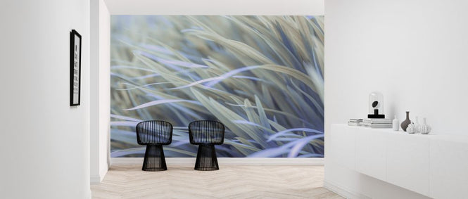PHOTOWALL / Grass (e321141)
