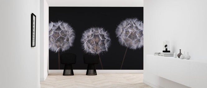 PHOTOWALL / Dandelion Clock (e321145)