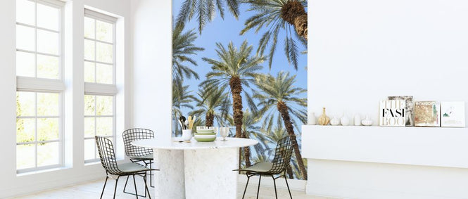PHOTOWALL / Palm Trees (e321152)