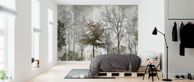 PHOTOWALL / Cool Summer in the Woods (e323382)