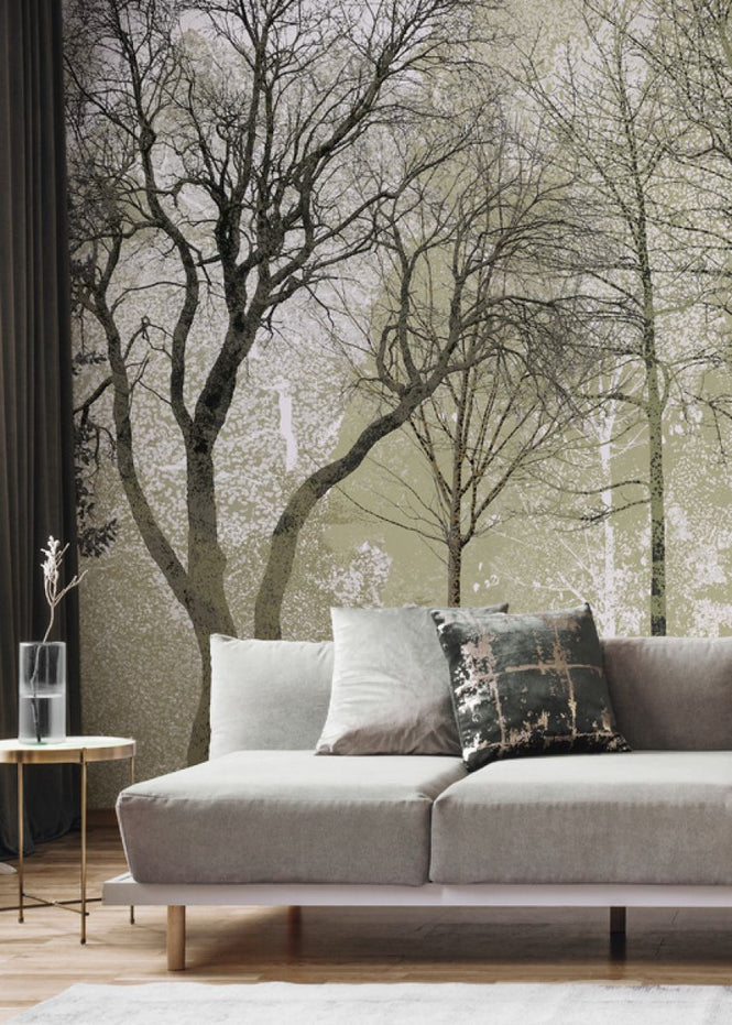 PHOTOWALL / Spring in the Woods (e323384)
