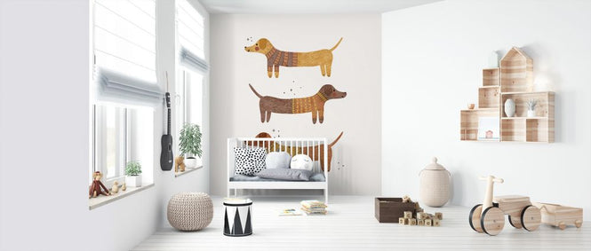 PHOTOWALL / Three badgers (e322954)