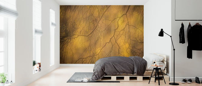 PHOTOWALL / Silver Birch Branches (e320137)