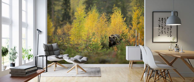 PHOTOWALL / Brown Bear in Autumn Forest (e320146)