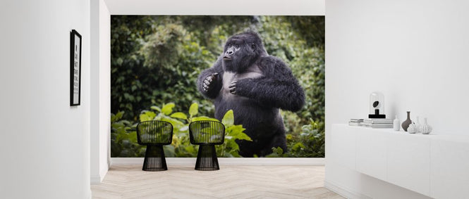 PHOTOWALL / Mountain Gorilla Blackback (e320148)