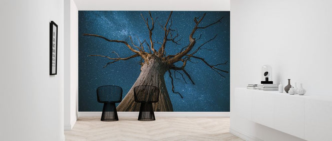 PHOTOWALL / Milky Way and Oak Tree (e320155)