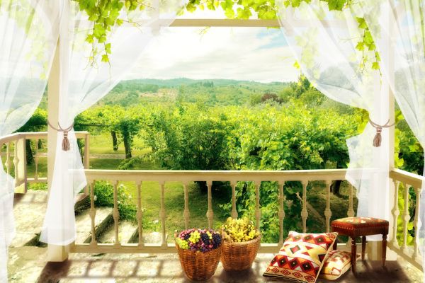 Zoom