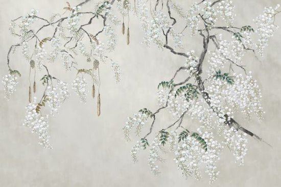 PHOTOWALL / Blossom Wisteria II (e325511)
