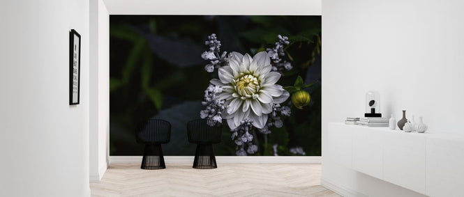 PHOTOWALL / Dahlia Flower (e323736)