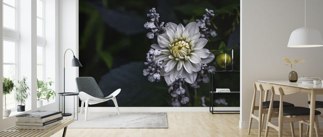 PHOTOWALL / Dahlia Flower (e323736)
