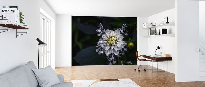PHOTOWALL / Dahlia Flower (e323736)