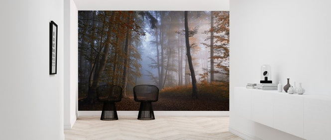 PHOTOWALL / Autumn Colors (e323737)