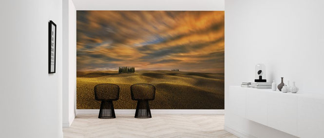 PHOTOWALL / Cypresses (e323755)