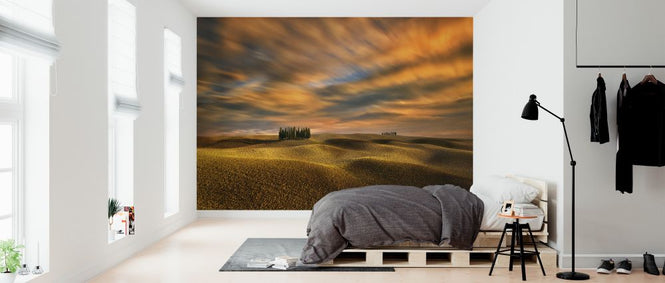 PHOTOWALL / Cypresses (e323755)