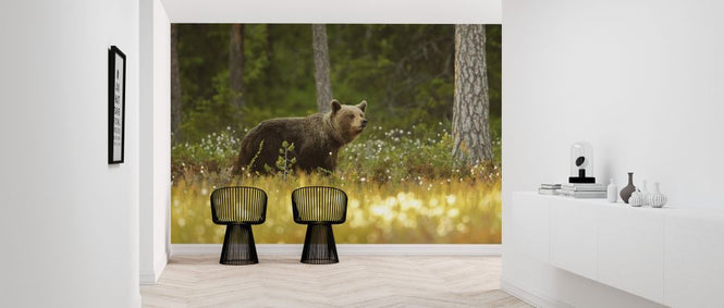 PHOTOWALL / Brown Bear (e323768)