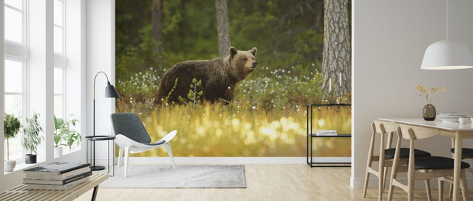 PHOTOWALL / Brown Bear (e323768)