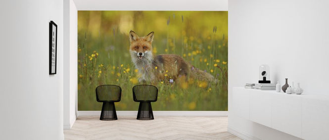 PHOTOWALL / Red Fox (e323771)