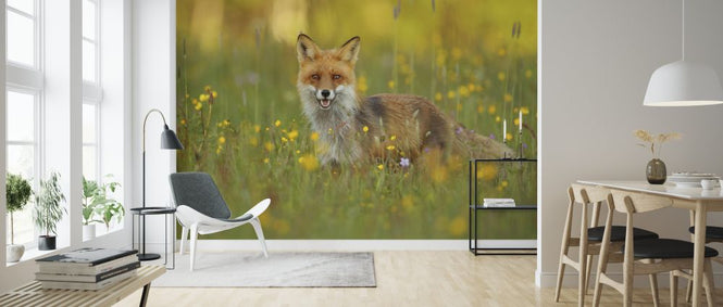 PHOTOWALL / Red Fox (e323771)