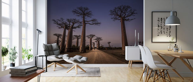 PHOTOWALL / All Ace des Baobabs (e323780)