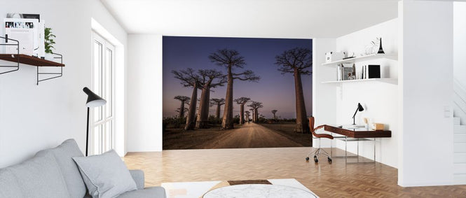 PHOTOWALL / All Ace des Baobabs (e323780)