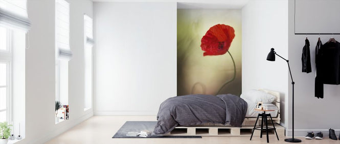 PHOTOWALL / Poppy Flower (e323817)
