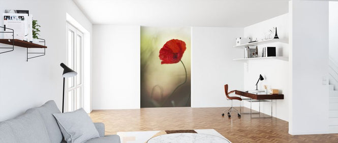 PHOTOWALL / Poppy Flower (e323817)