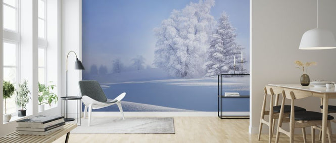 PHOTOWALL / Crispy Morning (e323838)
