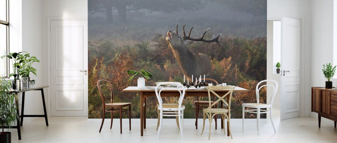 PHOTOWALL / Bellowing Stag Deer (e323839)