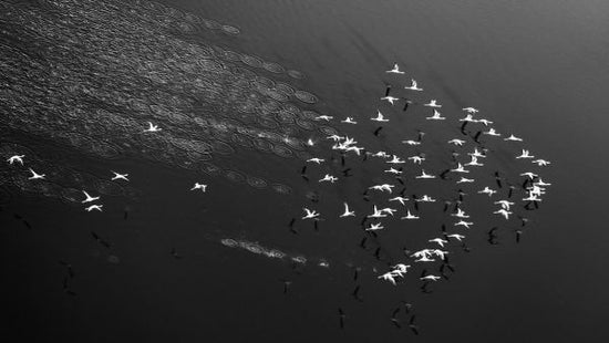 PHOTOWALL / Take Off (e323898)