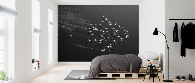 PHOTOWALL / Take Off (e323898)
