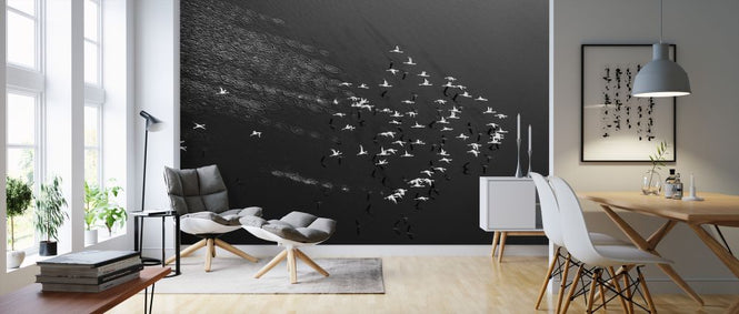 PHOTOWALL / Take Off (e323898)