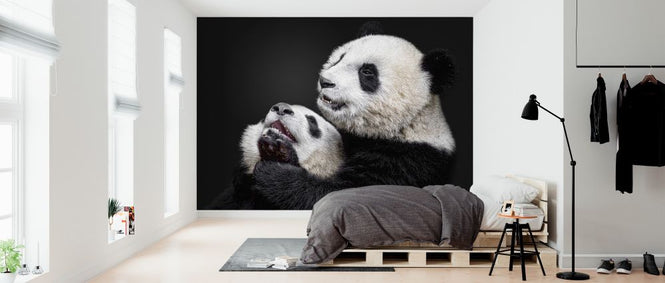 PHOTOWALL / Pandas (e323945)