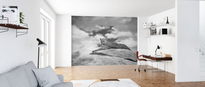 PHOTOWALL / Leopard on a Kopje (e323947)