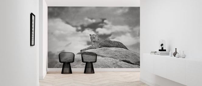 PHOTOWALL / Leopard on a Kopje (e323947)