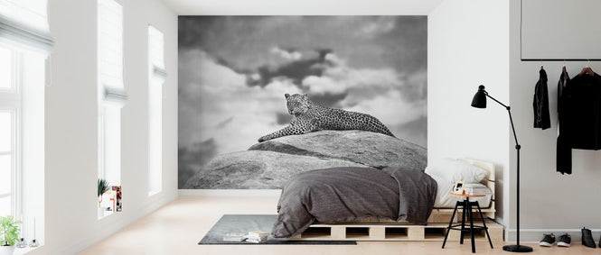 PHOTOWALL / Leopard on a Kopje (e323947)