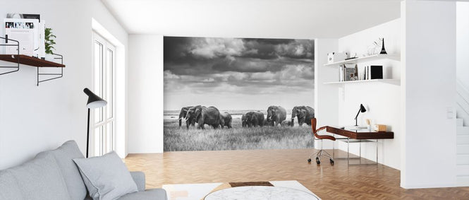 PHOTOWALL / Elephant Family II (e323963)