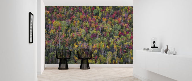PHOTOWALL / Color Palette (e324076)