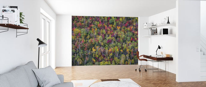 PHOTOWALL / Color Palette (e324076)