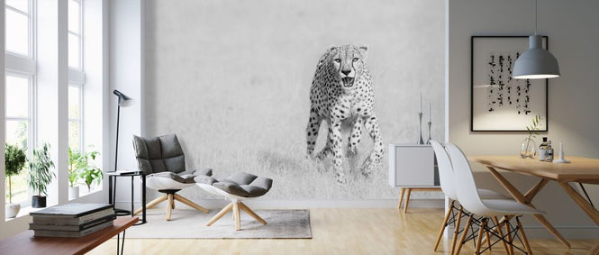 PHOTOWALL / Cheetah (e324081)