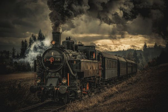 PHOTOWALL / Gold Digger Train (e324083)