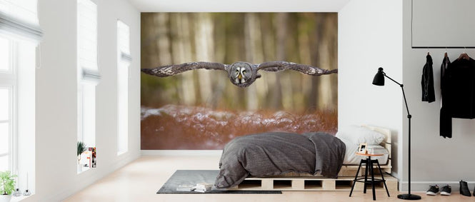 PHOTOWALL / Great Grey Owl (e324089)