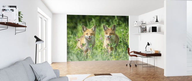 PHOTOWALL / Brothers (e324112)
